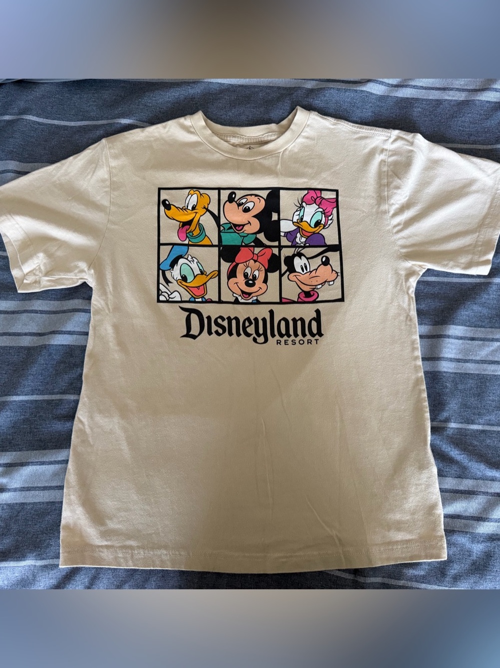 Disney Disneyland Resort Mickey & Friends tee Color Block Graphic Tee
